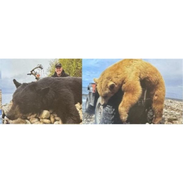 ALBERTA SPRING BLACK BEAR HUNT
