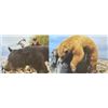 Image 1 : ALBERTA SPRING BLACK BEAR HUNT