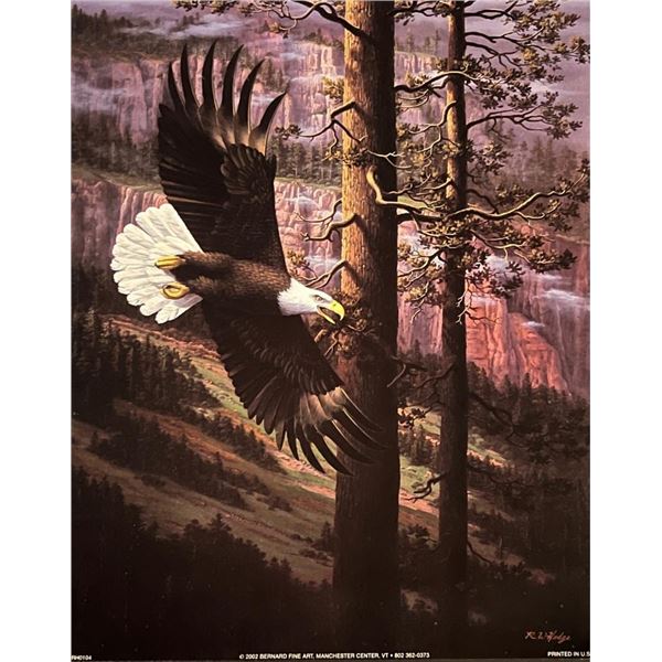 Bald Eagle Art Print