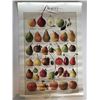 Image 1 : Lithographic Pear Poster