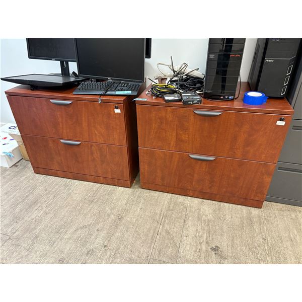 Group of 2 Storage Cabinets