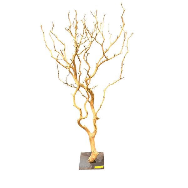 Large Decorative Natural Branch Sculpture on Metal Base