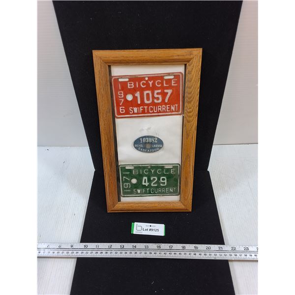(3) Bicycle License Plates in Frame-7.5x13.5"