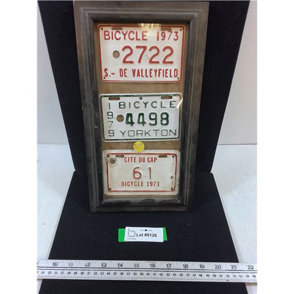 (3) 1970's Bicycle License Plates in Frame-7.5x13.5"