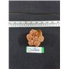 Image 1 : (7) Rolls Canadian Pennies