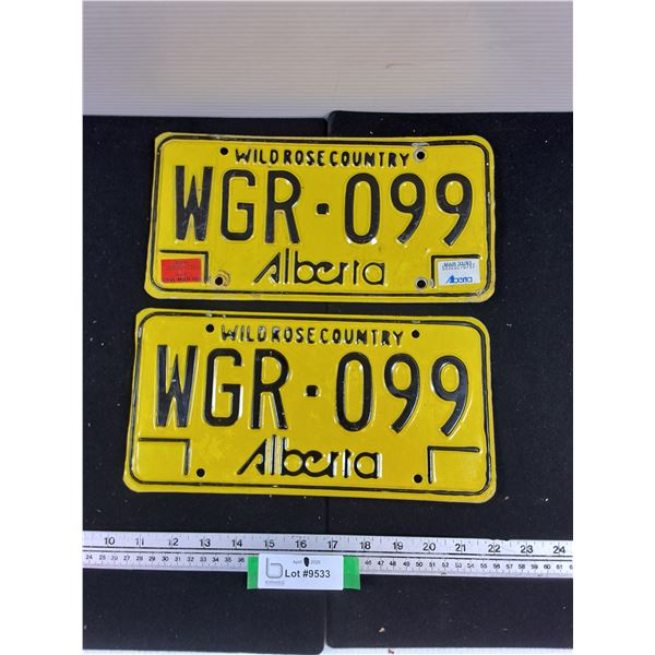 Pair of Alberta License Plates