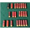 Image 4 : 12 Ga 2 3/4" Shotshell Lot