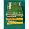 Image 2 : 7mm Rem Mag 175 Gr Remington Cartridges