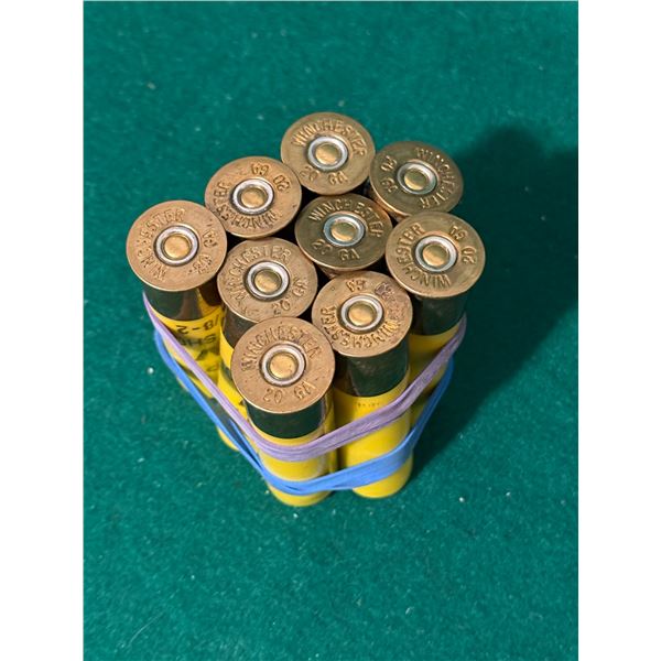 20 Ga 3" Winchester Xpert HV Shotshells