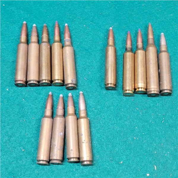 .284 Winchester Ammo 14 Loose Rounds
