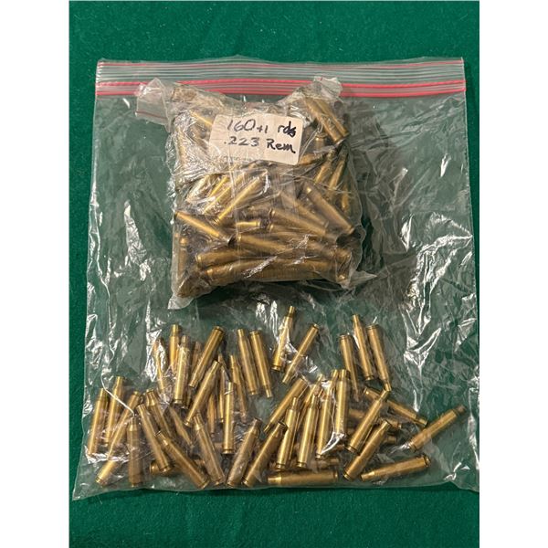.223 Rem Brass