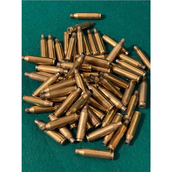.243 WIN Brass Casings