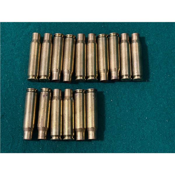 .308 WIN Brass Casings