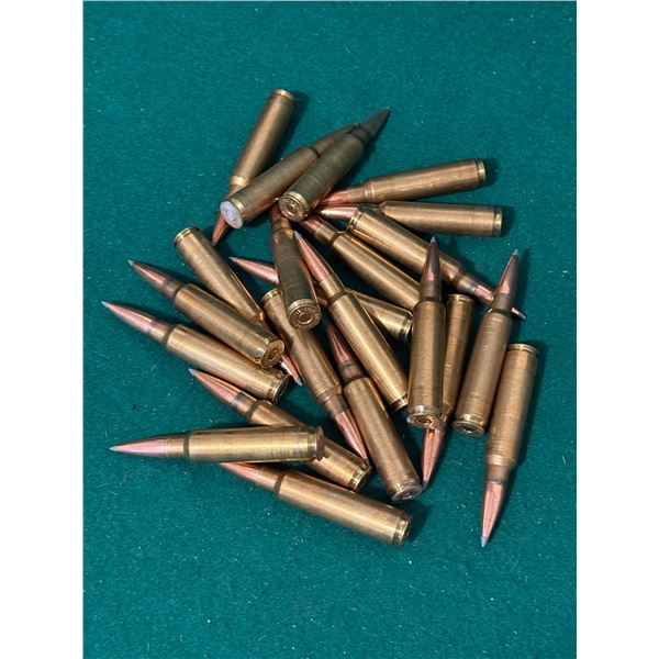 33 Reloaded Nosler Ammunition