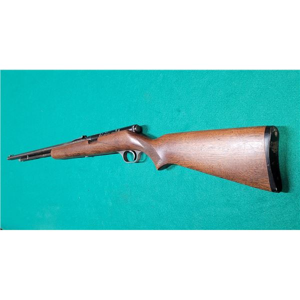 Savage Model 6A Semi-auto .22 Rimfire Rifle