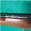 Image 6 : Savage Model 6A Semi-auto .22 Rimfire Rifle