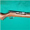 Image 9 : Savage Model 6A Semi-auto .22 Rimfire Rifle