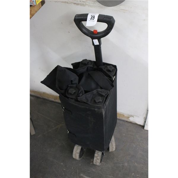 Fold Up Portable Pull Cart