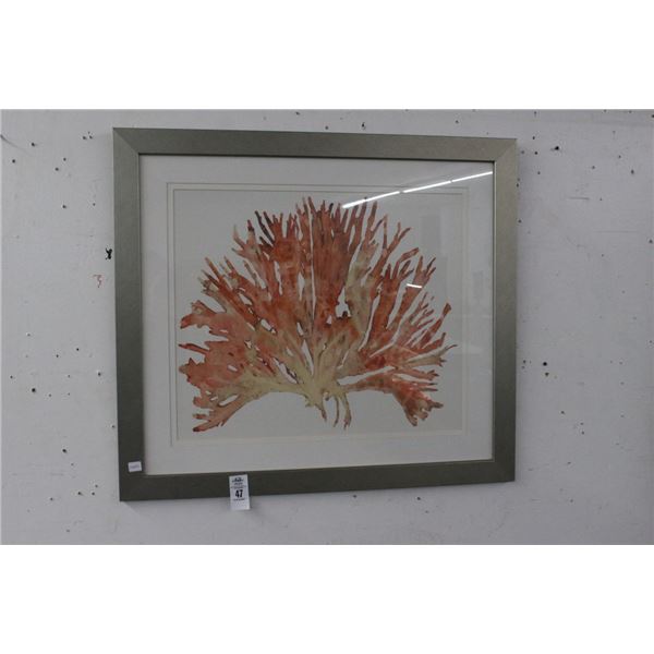 Framed Wall Art of Coral  30"  X  30"