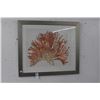 Image 1 : Framed Wall Art of Coral  30"  X  30"