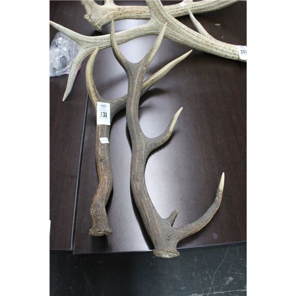 Deer Horns - Medium
