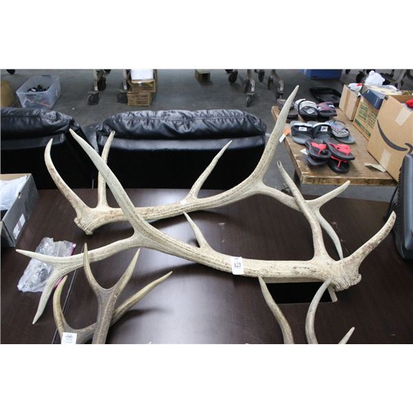 Deer Horns - Large