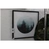 Image 1 : Framed Forest Photo