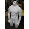 Image 1 : White Male Mannequinn Bust