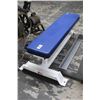 Image 1 : Blue Padded Weight Bench