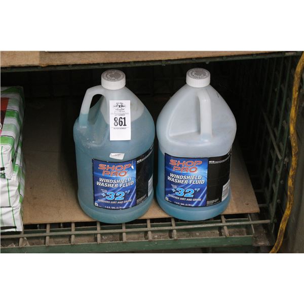 Windshield Washer Fluid - 2 Gallons