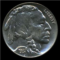 1937 Buffalo 5c Nickel BU Gem+ Coin (COI-1464)
