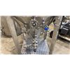 Image 3 : BREWTECH CHRONICAL STAINLESS STEEL 1BBL FERMENTER