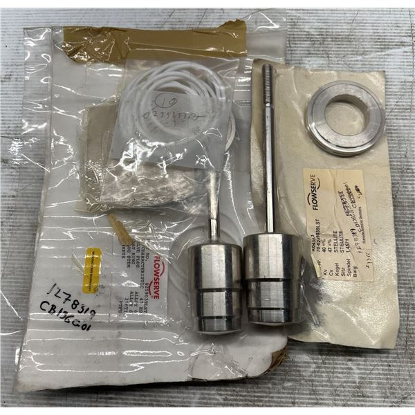 (2) Flowserve #70-0259039LST Valve Plugs