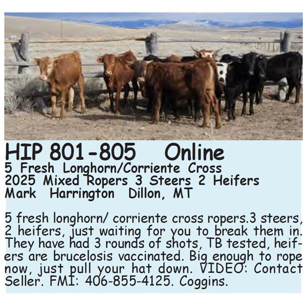801-805 - 5 Fresh Longhorn/Corriente Cross