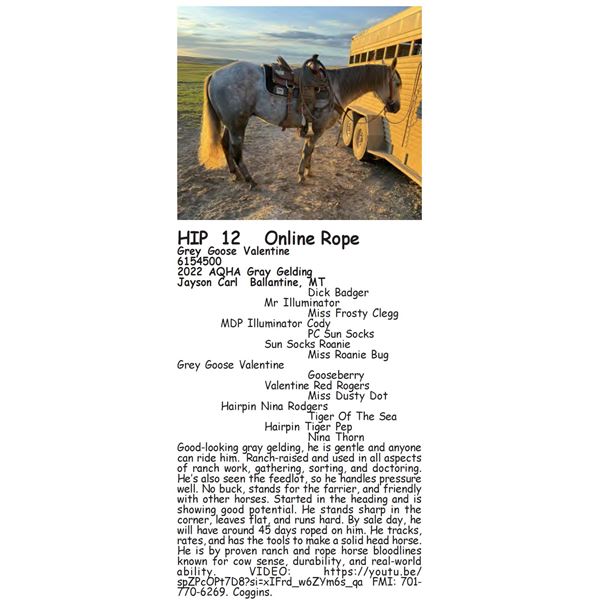 Grey Goose Valentine