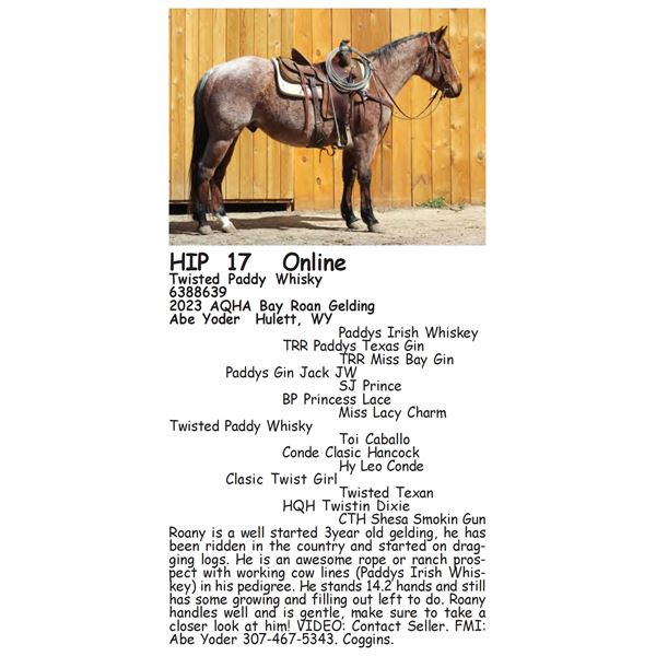 Twisted Paddy Whisky