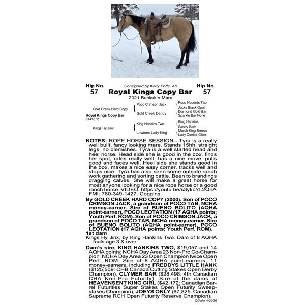 Royal Kings Copy Bar