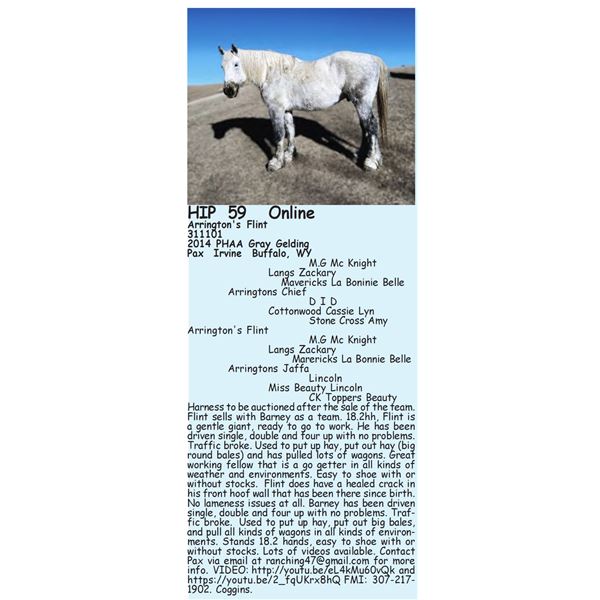 Arrington's Flint - SELLS WITH 60 2X THE $