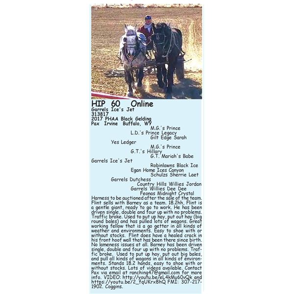 Garrels Ice's Jet - SELLS WITH 59 2X THE $