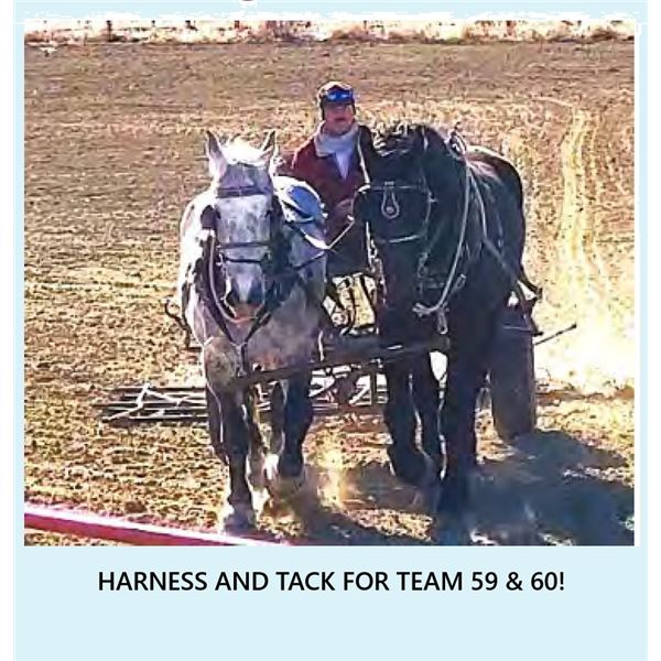 Harness' for team sell separate