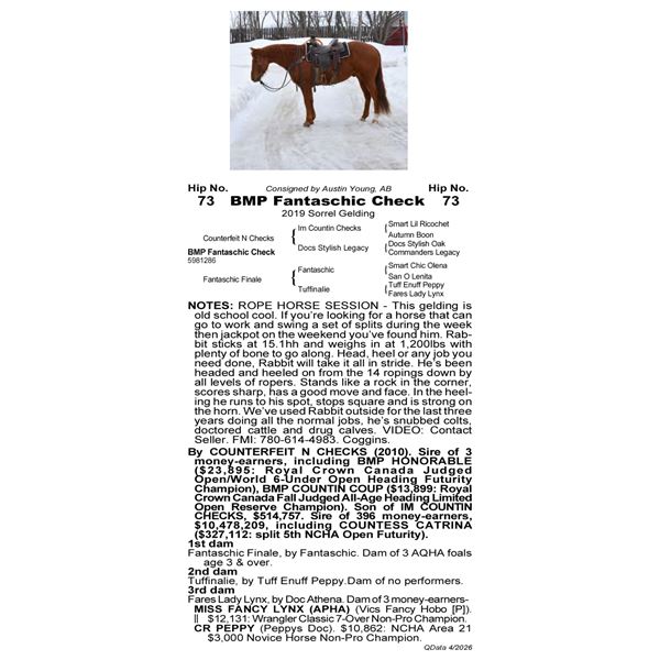 BMP Fantaxchic Check