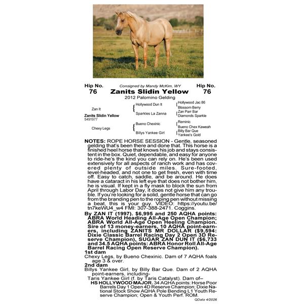 Zanits Slidin Yellow