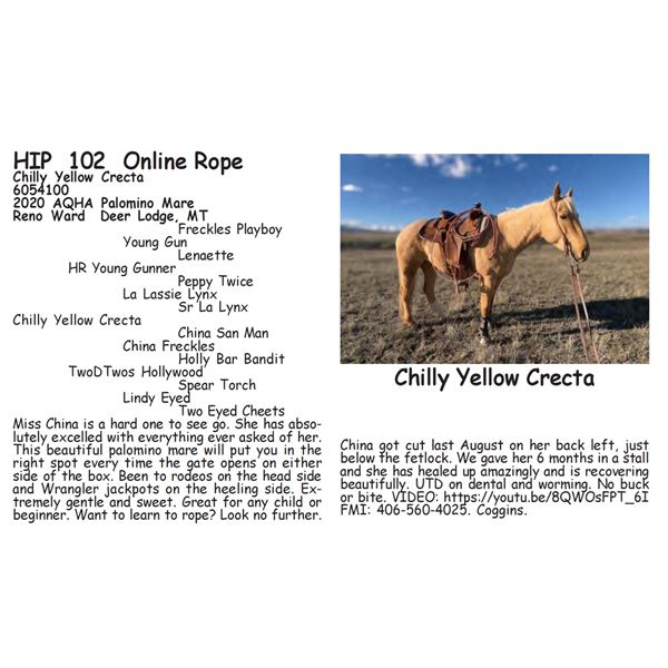 Chilly Yellow Crecta