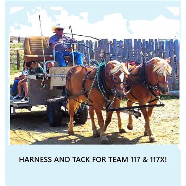 Harness' for team sell separate