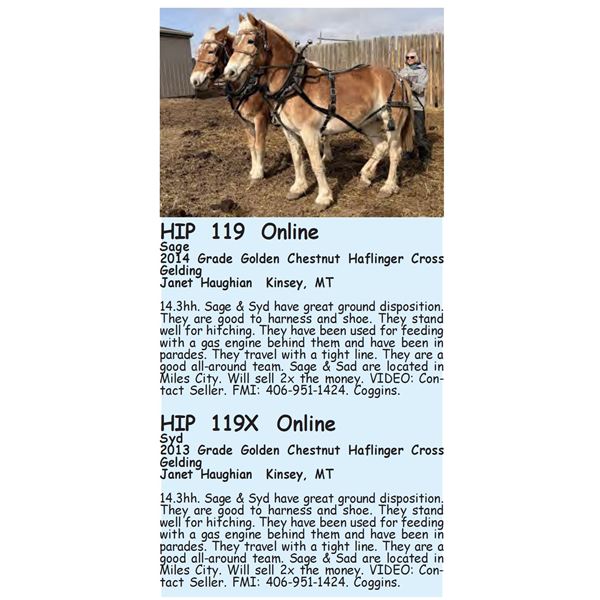 Syd - SELLS WITH 119 2X THE $