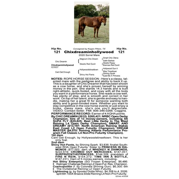 ChixDreaminHollywood