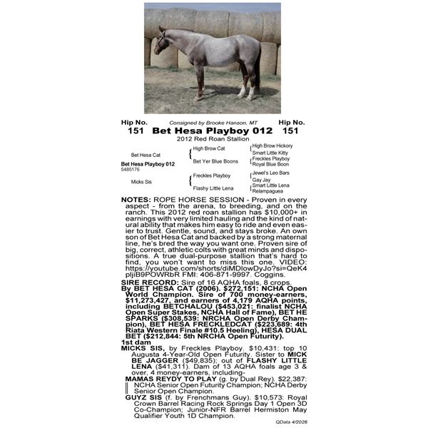 Bet Hesa Playboy 012