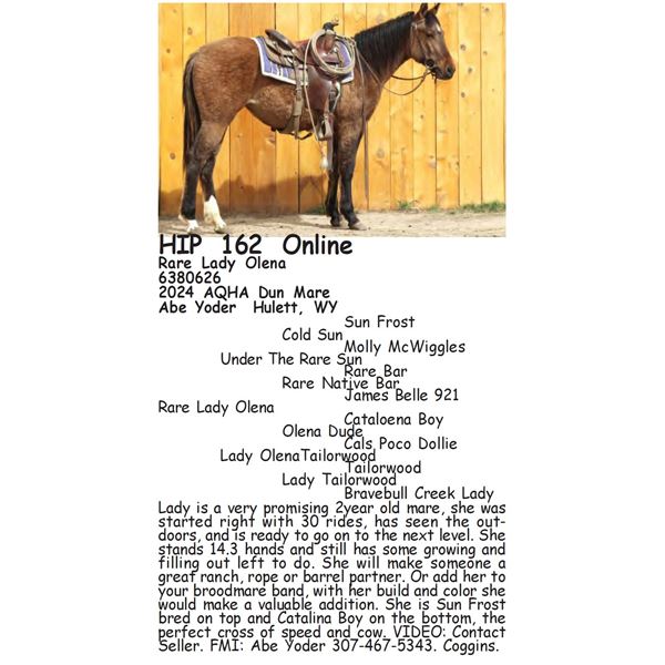 Rare Lady Olena