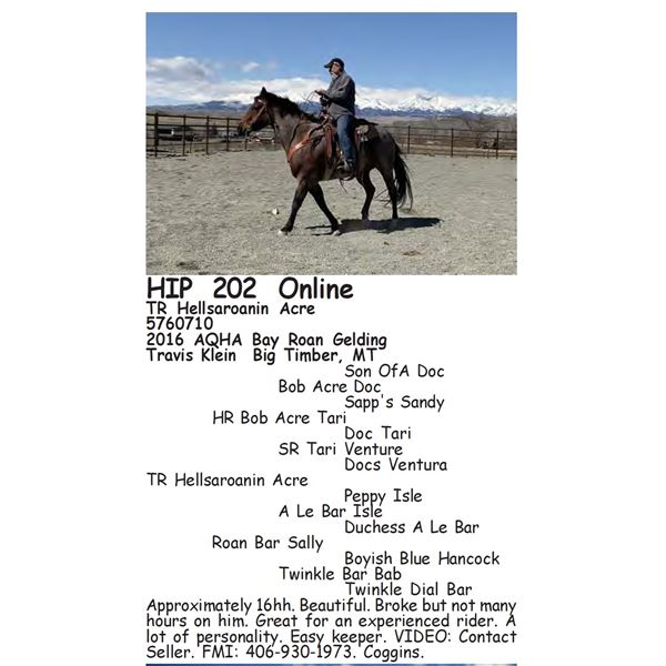 TR Hellsaroanin Acre