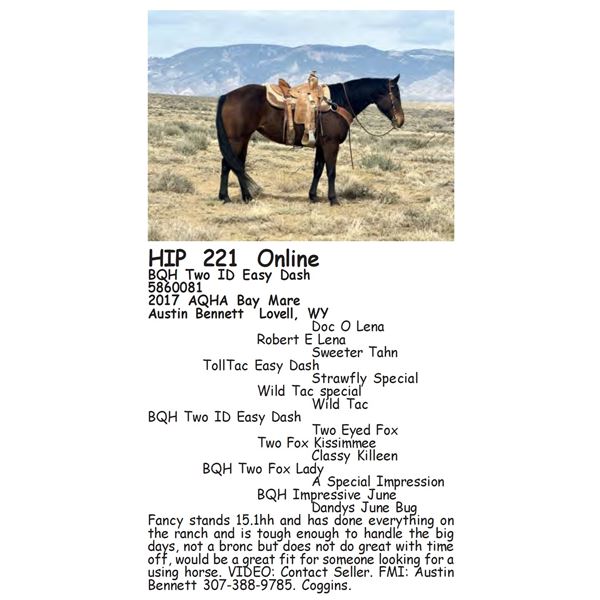 BQH Two ID Easy Dash